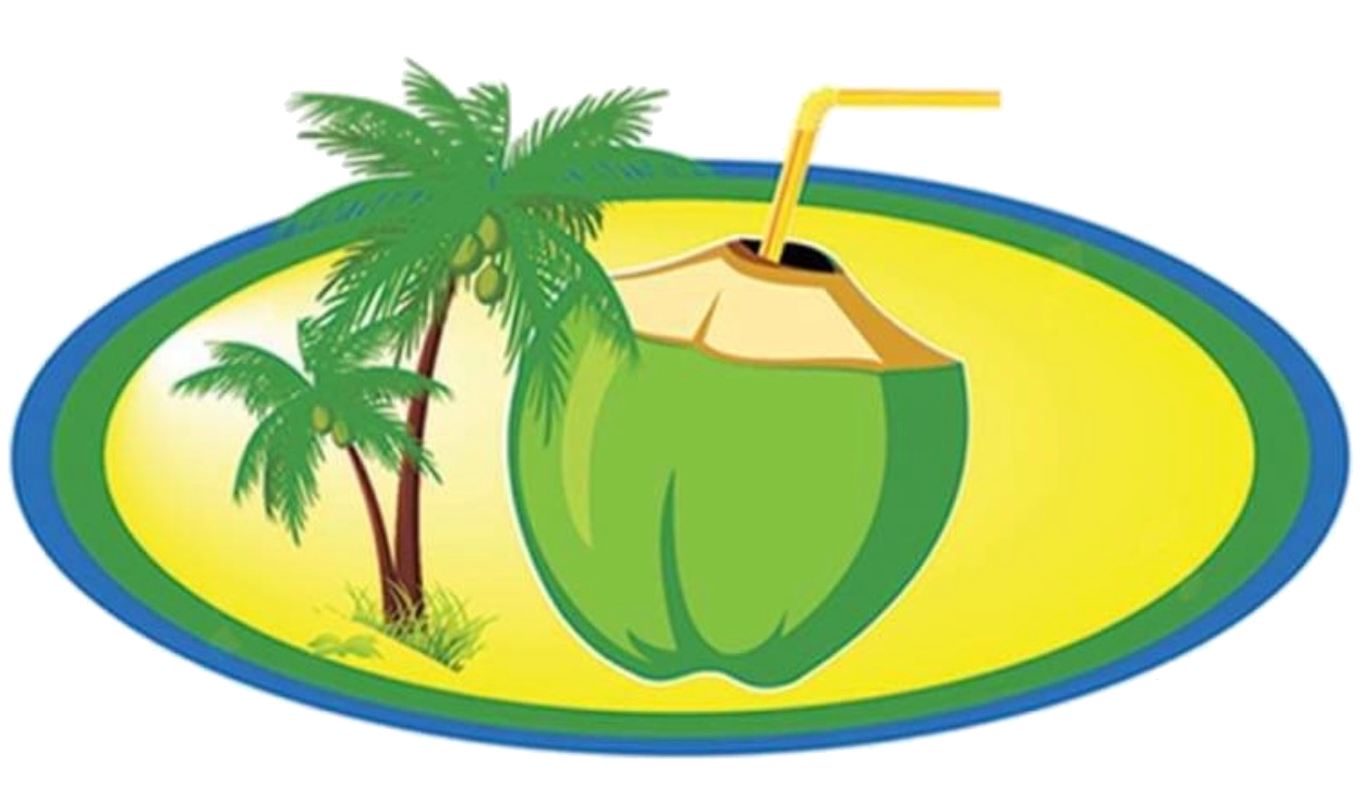 Bukorific coconut and palm-tree logo